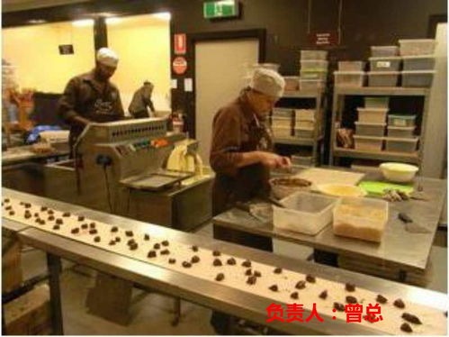 探索海外就業機遇 常州赴德國勞務與挪威清真食品廠招聘解析